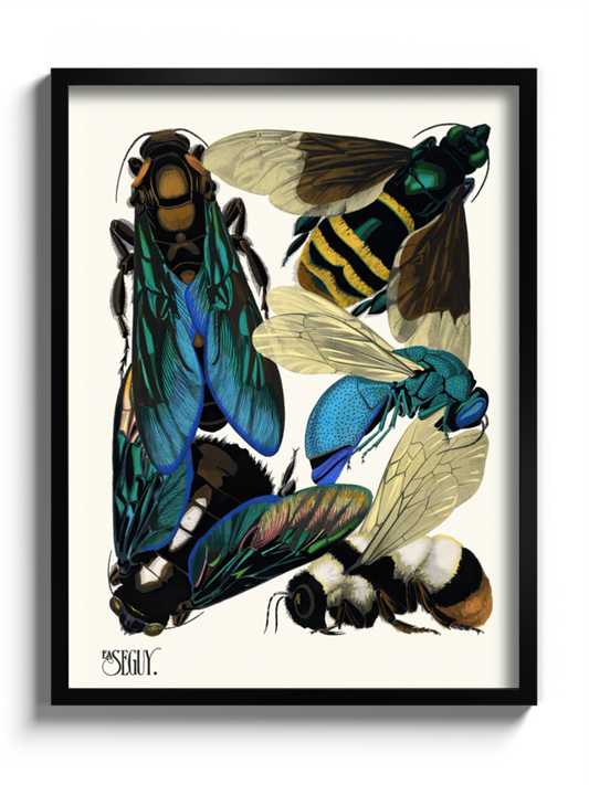 Друкована Картина "Комахи 7"
