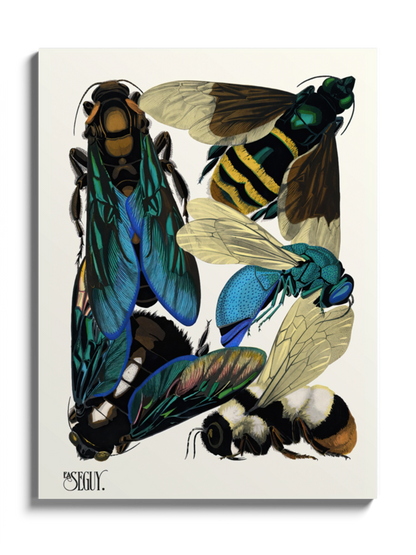 Друкована Картина "Комахи 7"