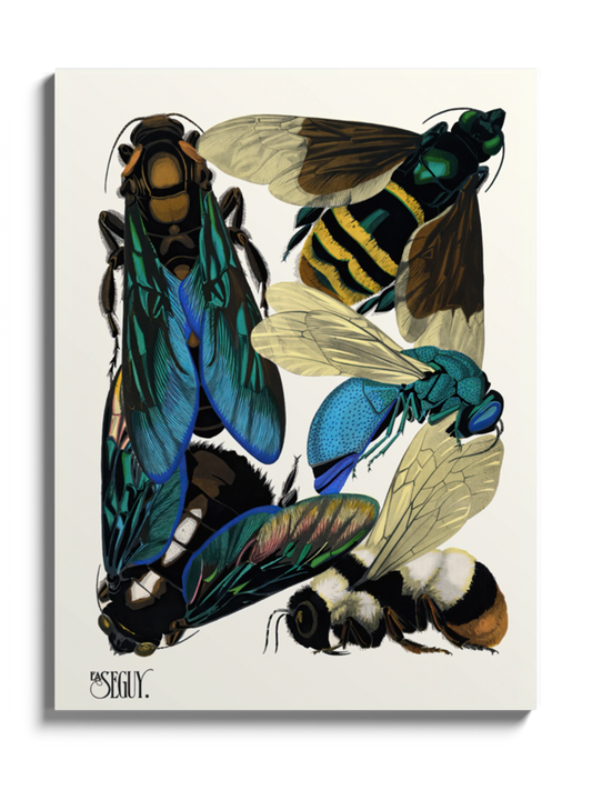 Друкована Картина "Комахи 7"