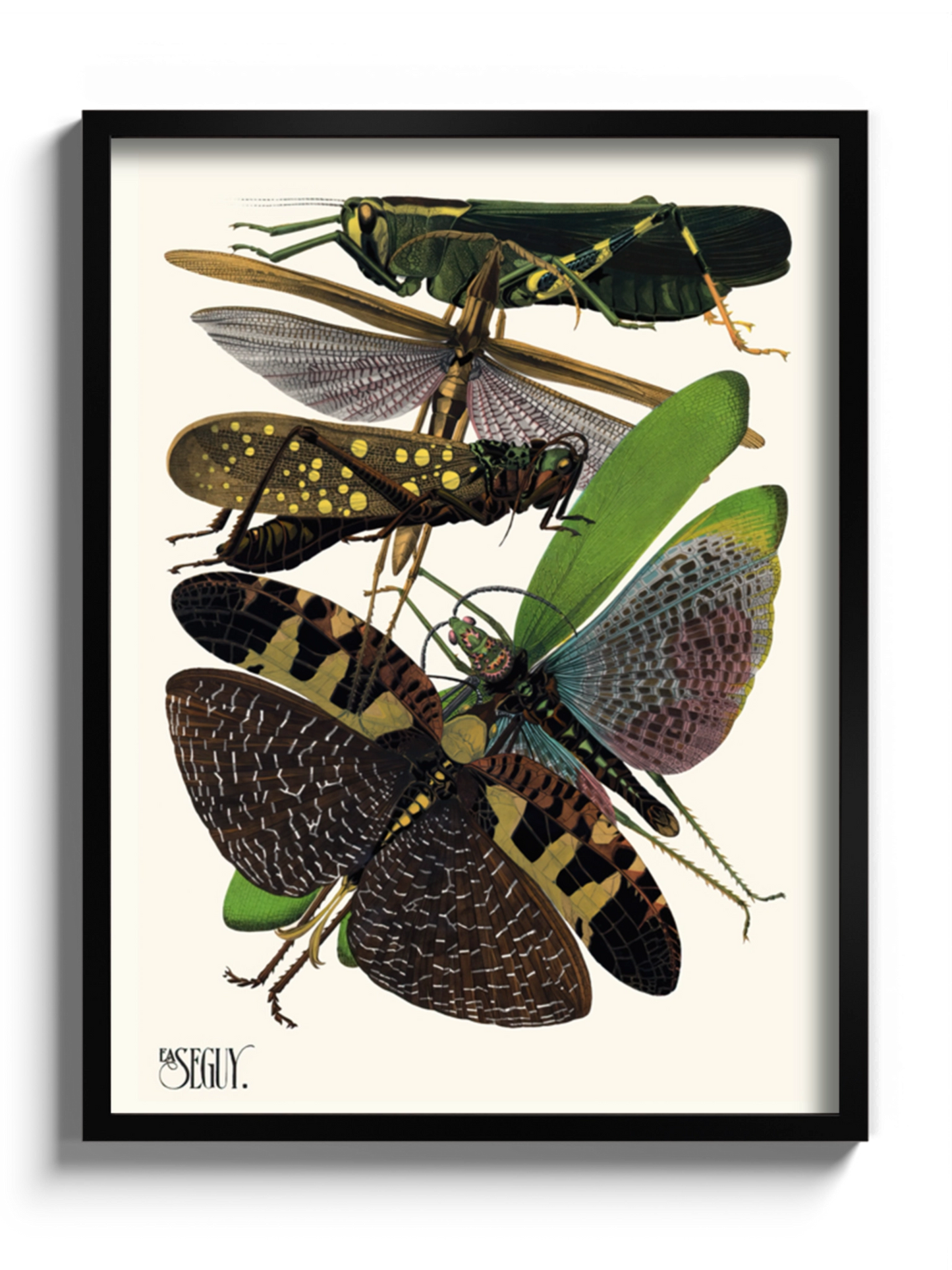 Друкована Картина "Комахи 9"
