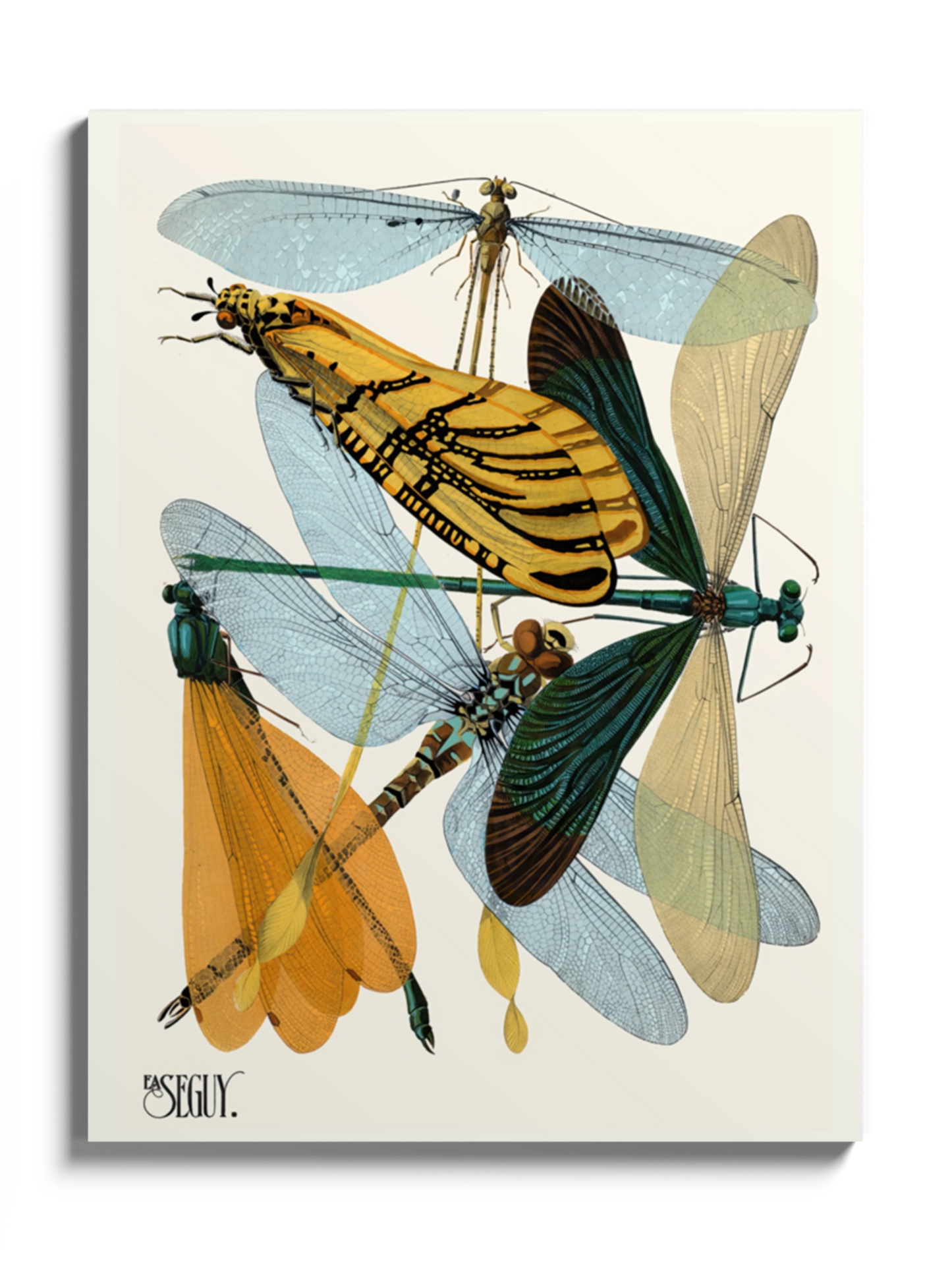 Друкована Картина "Комахи 10"