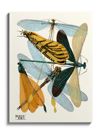 Друкована Картина "Комахи 10"