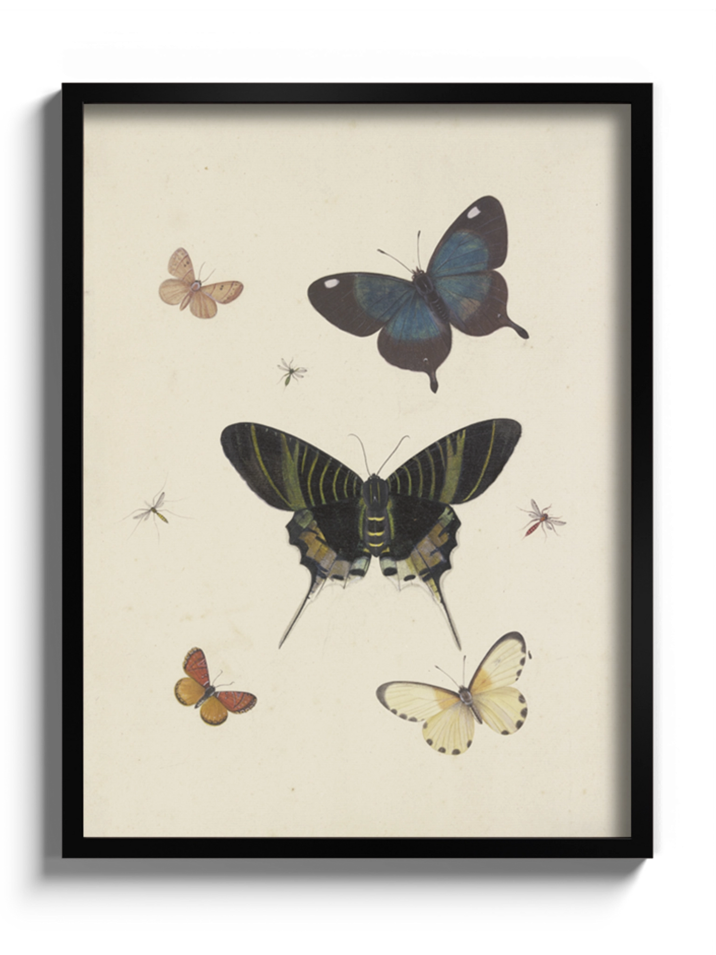 Друкована Картина "Метелики"