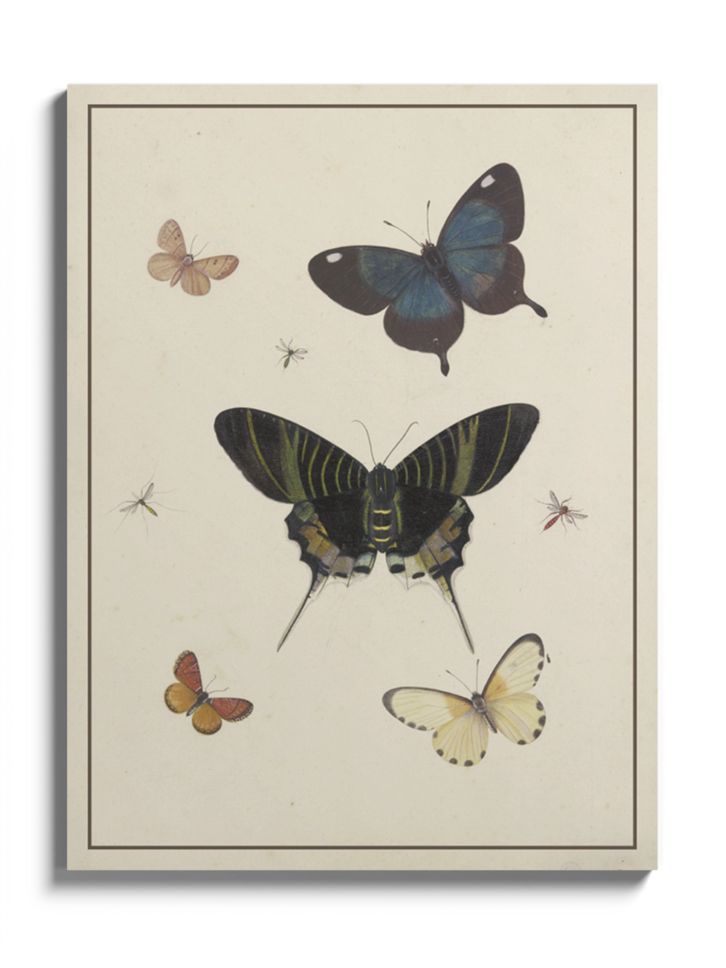 Друкована Картина "Метелики"