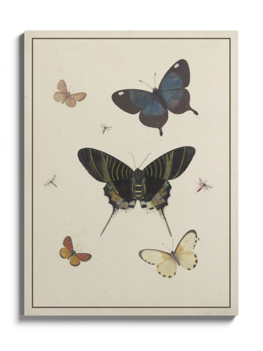 Друкована Картина "Метелики"