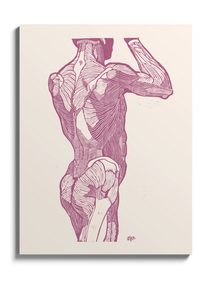 Картина Чоловіча Анатомія Гравюра