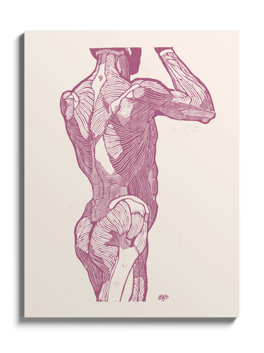 Картина Чоловіча Анатомія Гравюра