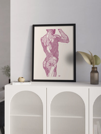 Картина Чоловіча Анатомія Гравюра