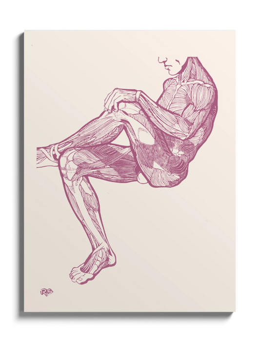 Картина Анатомія Чоловіка В Сидячому Положені Гравюра