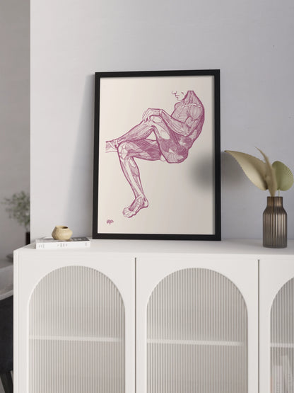 Картина Анатомія Чоловіка В Сидячому Положені Гравюра