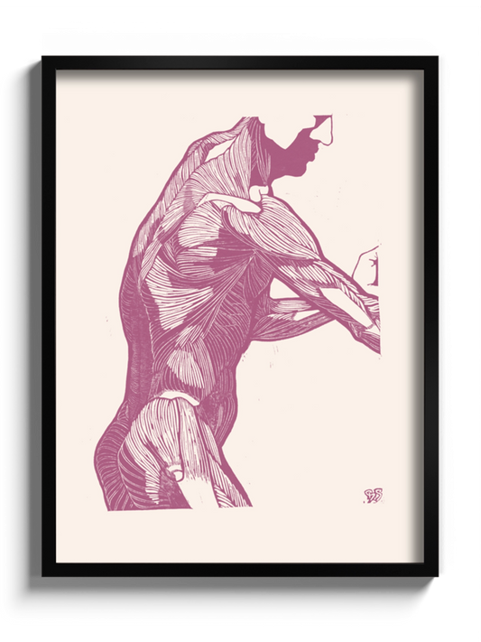 Картина Анатомія Чоловіка Гравюра