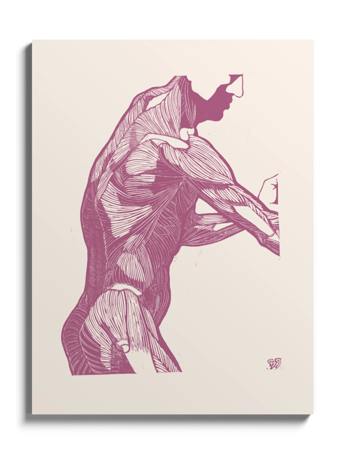 Картина Анатомія Чоловіка Гравюра