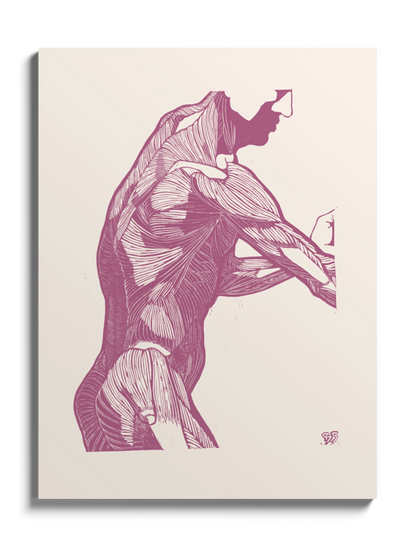 Картина Анатомія Чоловіка Гравюра